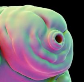 Screenshot 2017-03-17 at 18.00.08