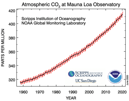 Screenshot 2020-06-04 at 11.00.21